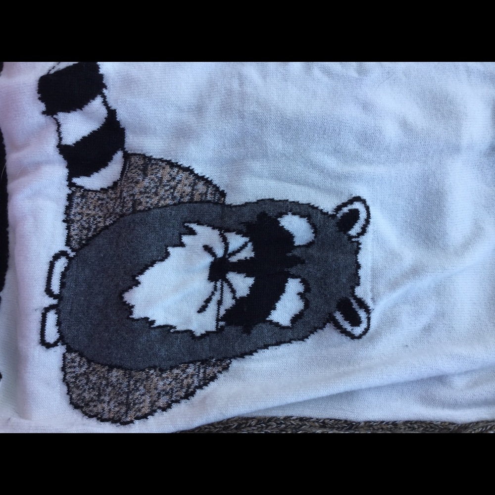 Raccoon sweater button down back